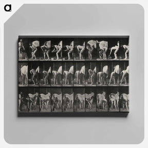 アートパネル-Shoeing the Horse
 - エドワード マイブリッジ Canvas.