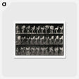 アートポストカード-Shoeing the Horse
 - エドワード マイブリッジ Postcard.