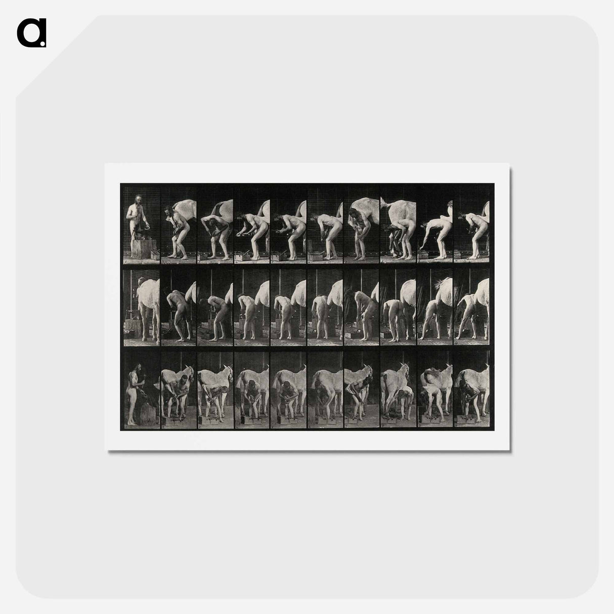 アートポストカード-Shoeing the Horse
 - エドワード マイブリッジ Postcard.