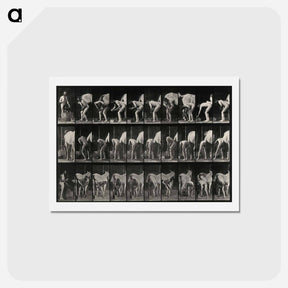 アートポストカード-Shoeing the Horse
 - エドワード マイブリッジ Postcard.