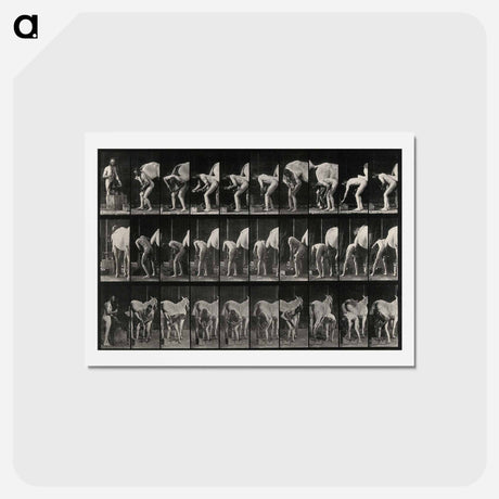 アートポストカード-Shoeing the Horse
 - エドワード マイブリッジ Postcard.
