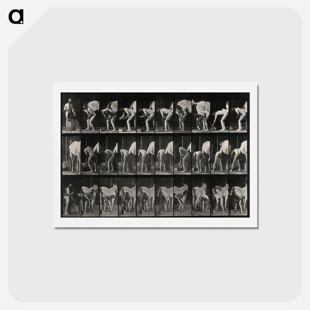 アートポストカード-Shoeing the Horse
 - エドワード マイブリッジ Postcard.