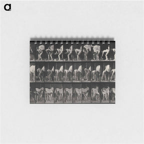 アートメモ帳-Shoeing the Horse
 - エドワード マイブリッジ Memo.