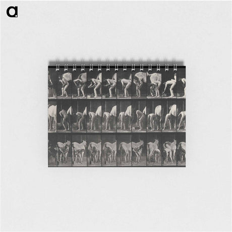 アートメモ帳-Shoeing the Horse
 - エドワード マイブリッジ Memo.