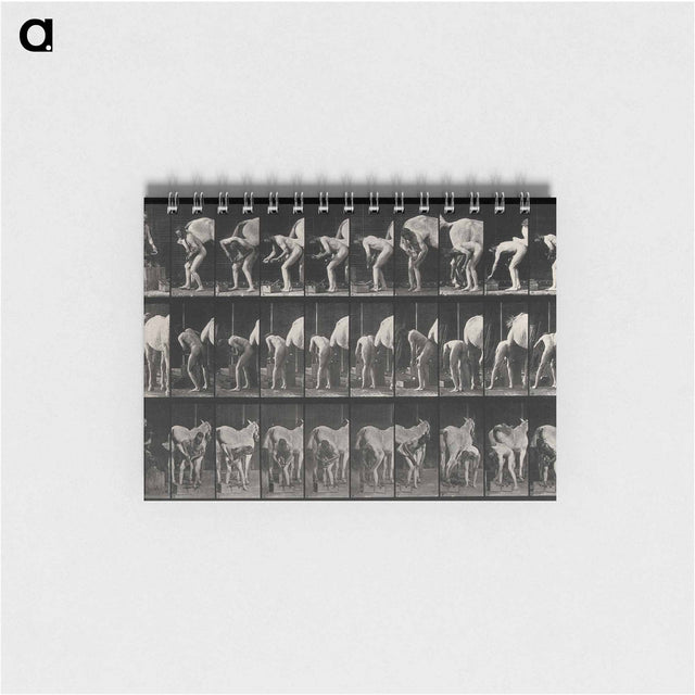 アートメモ帳-Shoeing the Horse
 - エドワード マイブリッジ Memo.