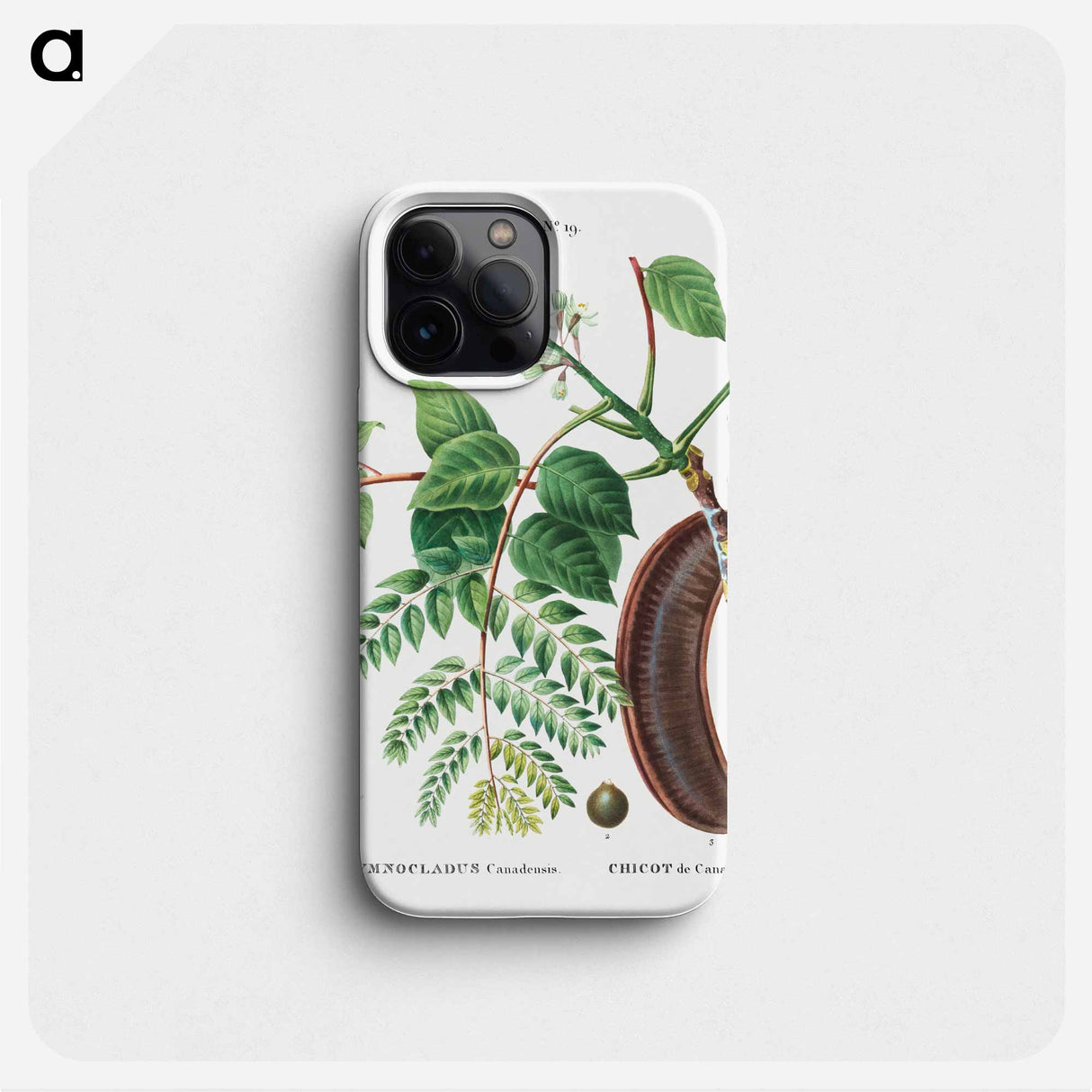 Kentucky coffeetree - ピエール ジョゼフ ルドゥーテ Phone Case.