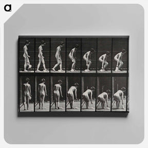 アートパネル-Woman Picking Cloth
 - エドワード マイブリッジ Canvas.