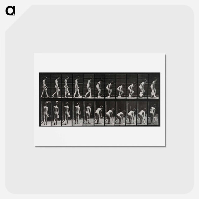 アートポストカード-Woman Picking Cloth
 - エドワード マイブリッジ Postcard.