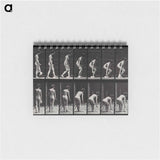アートメモ帳-Woman Picking Cloth
 - エドワード マイブリッジ Memo.