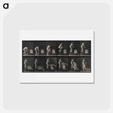 アートポストカード-The Water Pour
 - エドワード マイブリッジ Postcard.