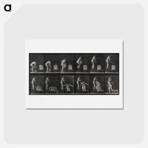 アートポストカード-The Water Pour
 - エドワード マイブリッジ Postcard.