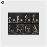 アートポストカード-The Water Pour
 - エドワード マイブリッジ Postcard.