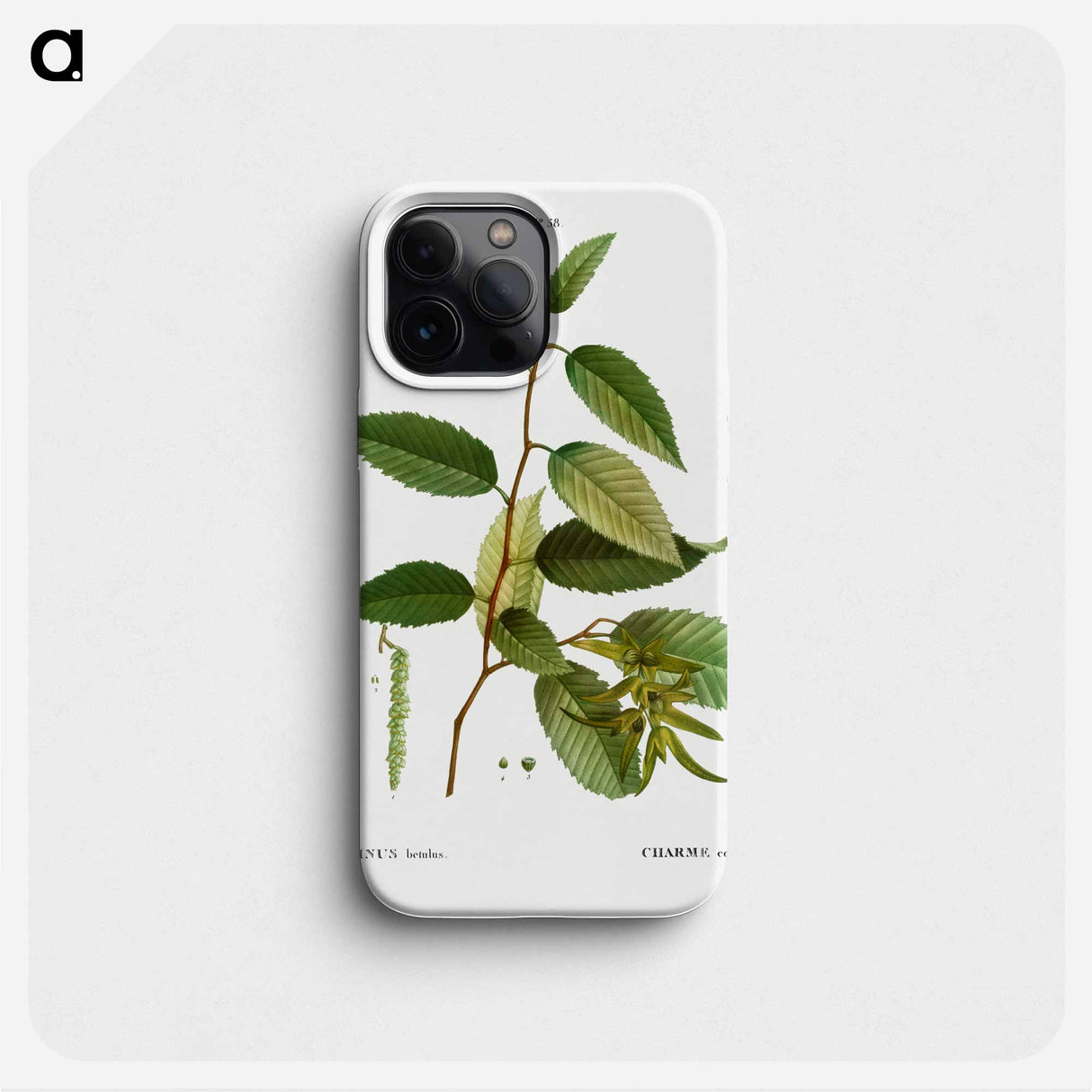 Common hornbeam, Carpinus betulus - Pierre Joseph Redouté Phone Case.