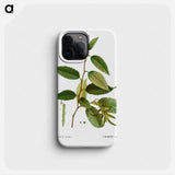 Common hornbeam, Carpinus betulus - Pierre Joseph Redouté Phone Case.