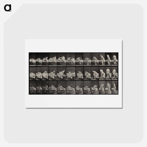 アートポストカード-Woman Emerging
 - エドワード マイブリッジ Postcard.
