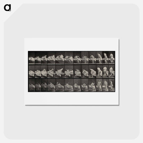 アートポストカード-Woman Emerging
 - エドワード マイブリッジ Postcard.