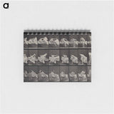 アートメモ帳-Woman Emerging
 - エドワード マイブリッジ Memo.
