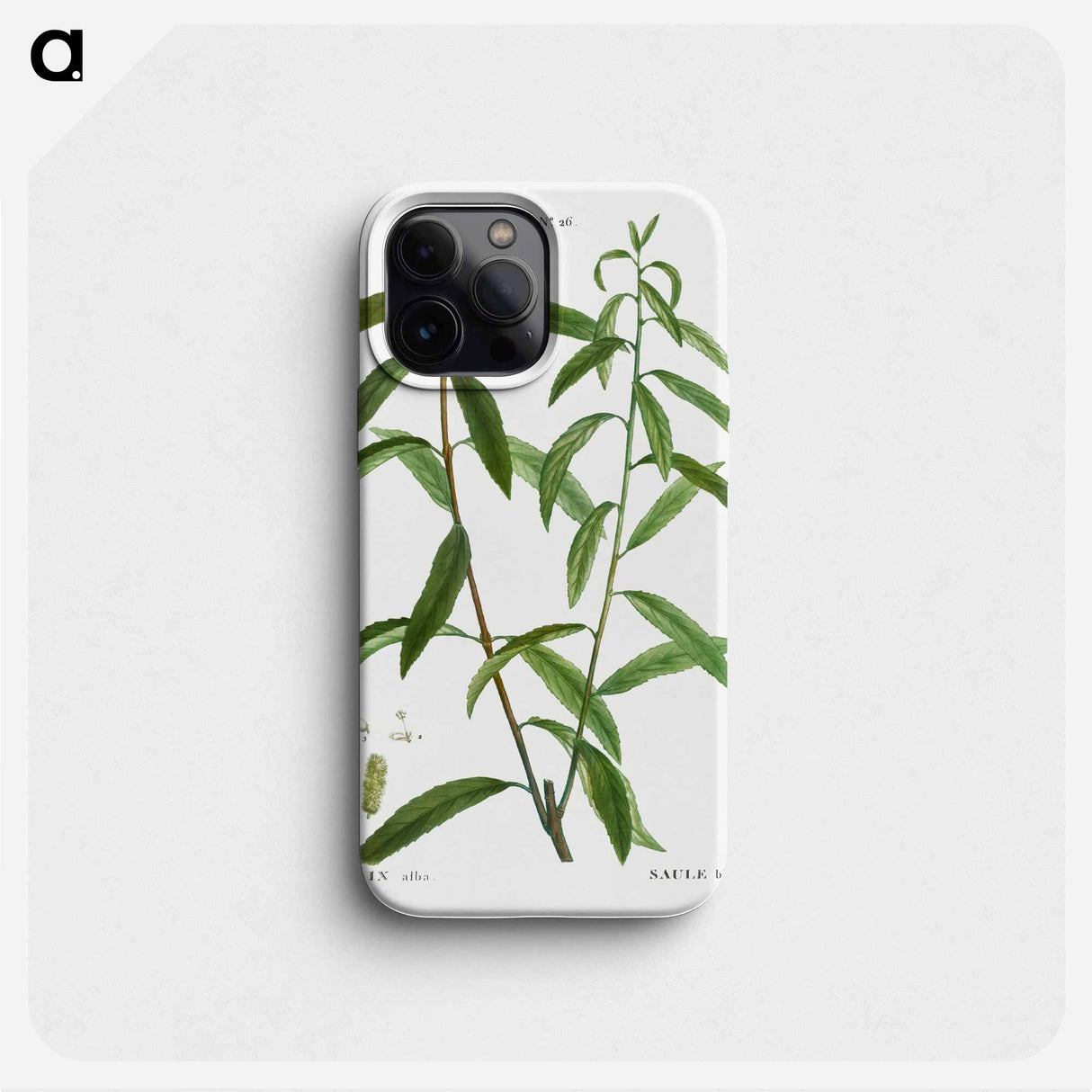 White willow, Salix alba - Pierre Joseph Redouté Phone Case.