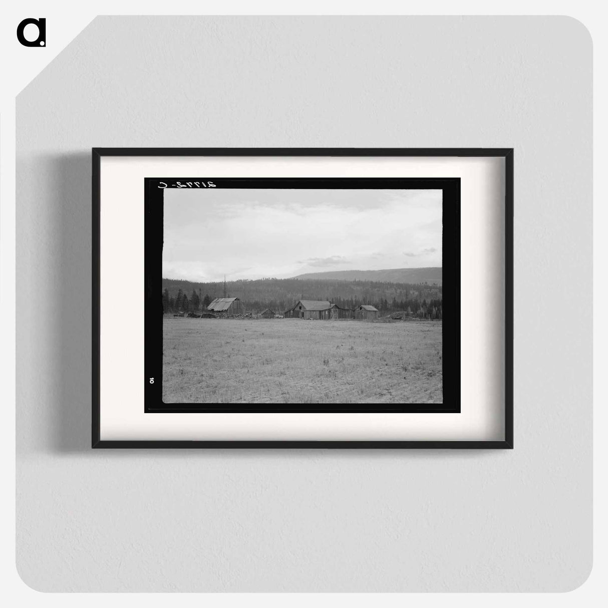 Partially-developed stump ranch seen across cleared grain field - Dorothea Lange Poster.