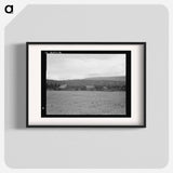 Partially-developed stump ranch seen across cleared grain field - Dorothea Lange Poster.