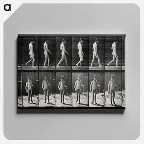 アートパネル-Man Walking
 - エドワード マイブリッジ Canvas.