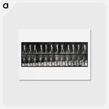 アートポストカード-Man Walking
 - エドワード マイブリッジ Postcard.