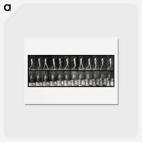 アートポストカード-Man Walking
 - エドワード マイブリッジ Postcard.
