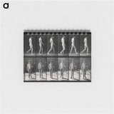 アートメモ帳-Man Walking
 - エドワード マイブリッジ Memo.