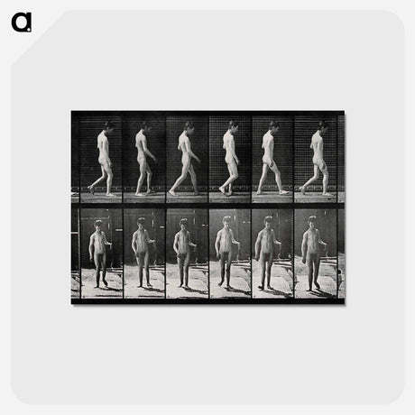 アートポストカード-Man Walking
 - エドワード マイブリッジ Postcard.