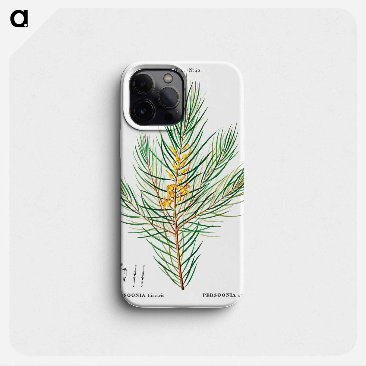 Narrow-leaved geebung - Pierre Joseph Redouté Phone Case.