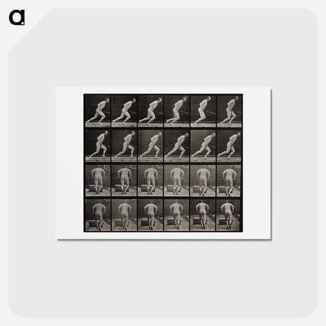 アートポストカード-Man with Roller
 - エドワード マイブリッジ Postcard.