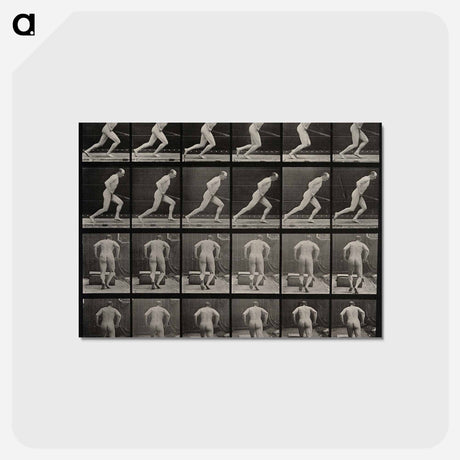 アートポストカード-Man with Roller
 - エドワード マイブリッジ Postcard.