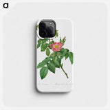 Rosa Villosa Terebenthina - Pierre Joseph Redouté Phone Case.