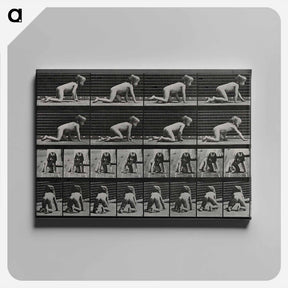 アートパネル-Crawling Girl
 - エドワード マイブリッジ Canvas.