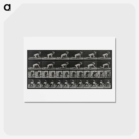 アートポストカード-Crawling Girl
 - エドワード マイブリッジ Postcard.