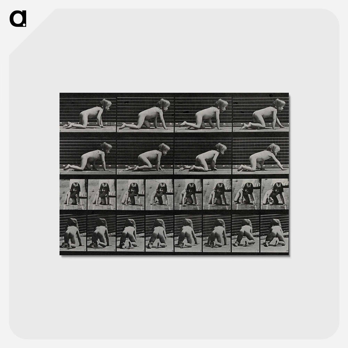 アートポストカード-Crawling Girl
 - エドワード マイブリッジ Postcard.