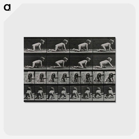 アートポストカード-Crawling Girl
 - エドワード マイブリッジ Postcard.