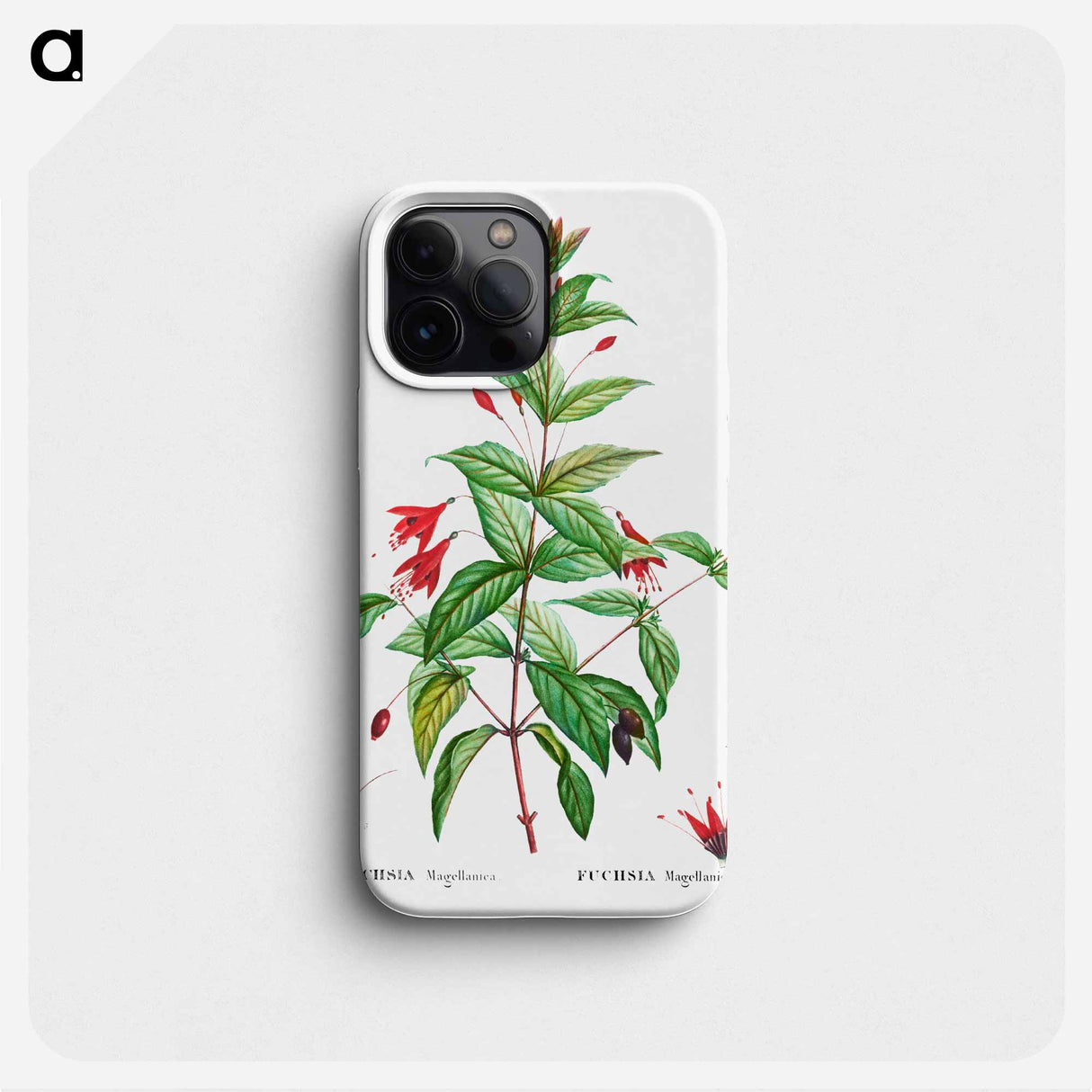 Hardy fuchsia - Pierre Joseph Redouté Phone Case.