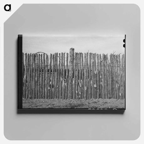 アートパネル-Mules in Eufaula
 - ラッセル リー Canvas.