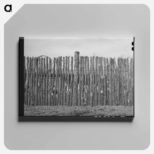 アートパネル-Mules in Eufaula
 - ラッセル リー Canvas.