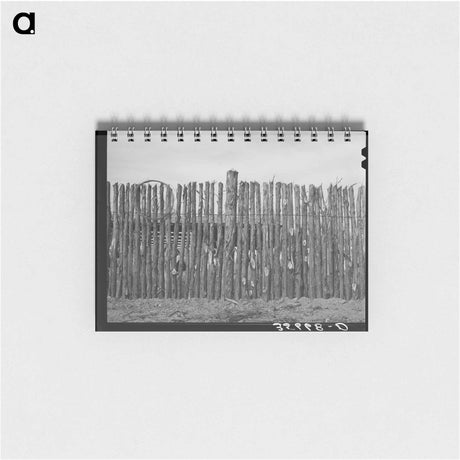 アートメモ帳-Mules in Eufaula
 - ラッセル リー Memo.