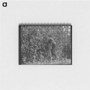 アートメモ帳-Untitled photo - ドロテア ラング Memo.