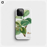 Broad-leaved whitebeam - ピエール ジョゼフ ルドゥーテ Phone Case.