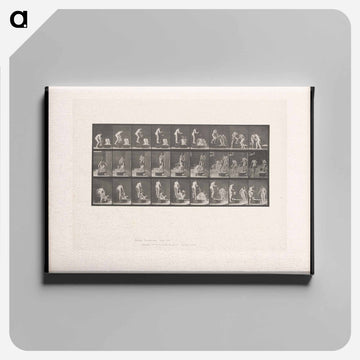 Water Pouring
 - エドワード マイブリッジ Canvas.