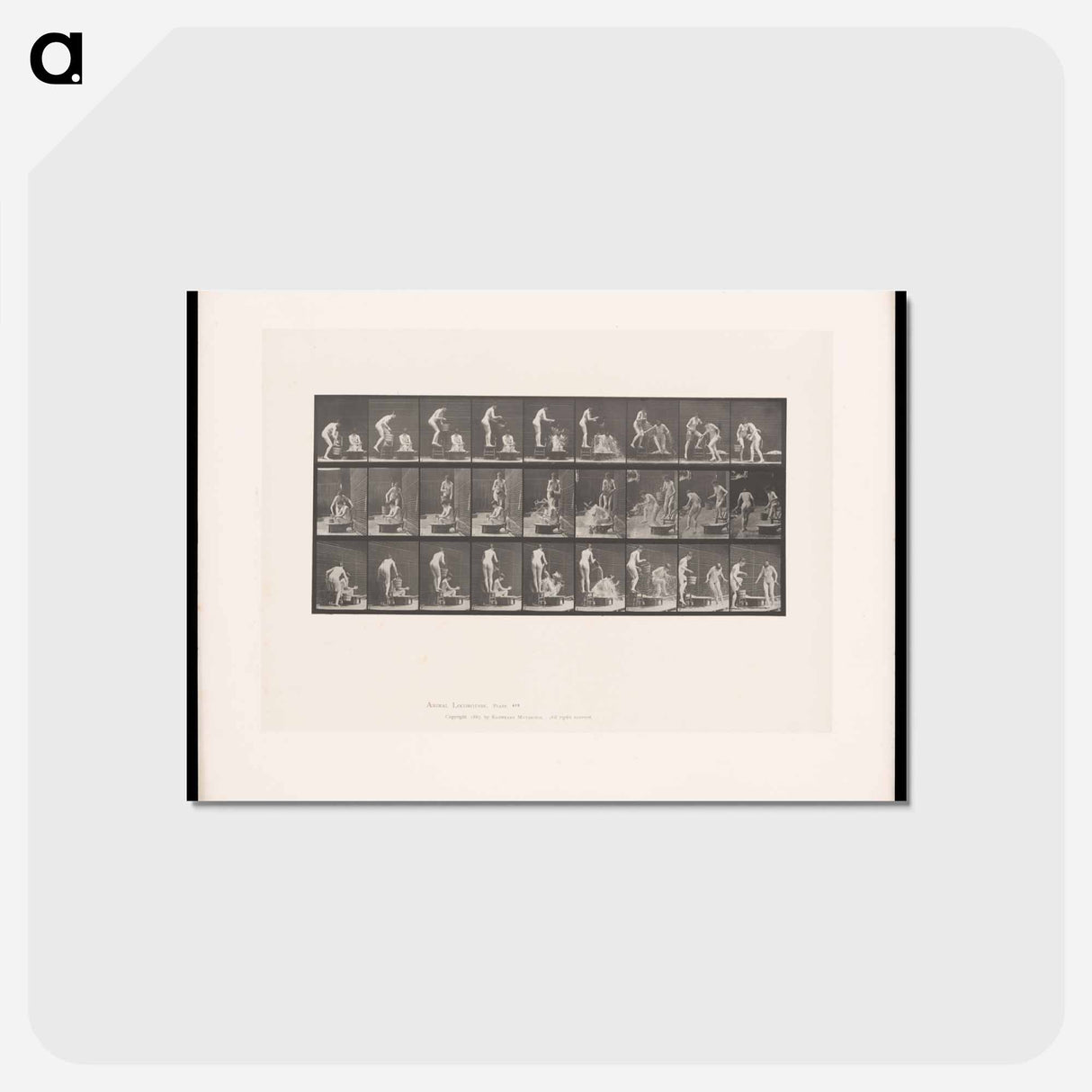 アートポストカード-Water Pouring
 - エドワード マイブリッジ Postcard.