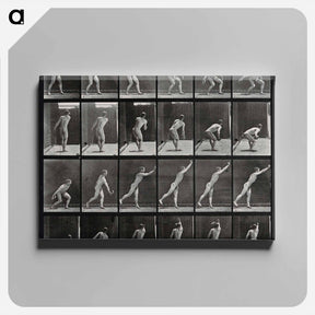 アートパネル-Discus Thrower
 - エドワード マイブリッジ Canvas.