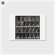 アートポストカード-Discus Thrower
 - エドワード マイブリッジ Postcard.