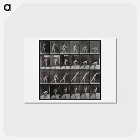 アートポストカード-Discus Thrower
 - エドワード マイブリッジ Postcard.
