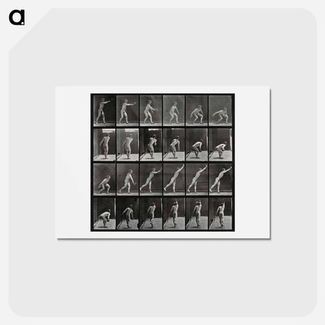 アートポストカード-Discus Thrower
 - エドワード マイブリッジ Postcard.