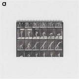 アートメモ帳-Discus Thrower
 - エドワード マイブリッジ Memo.